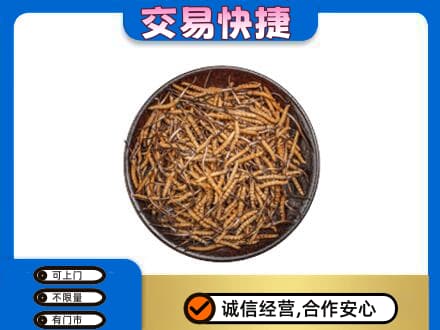 辽阳市太子河回收散虫草